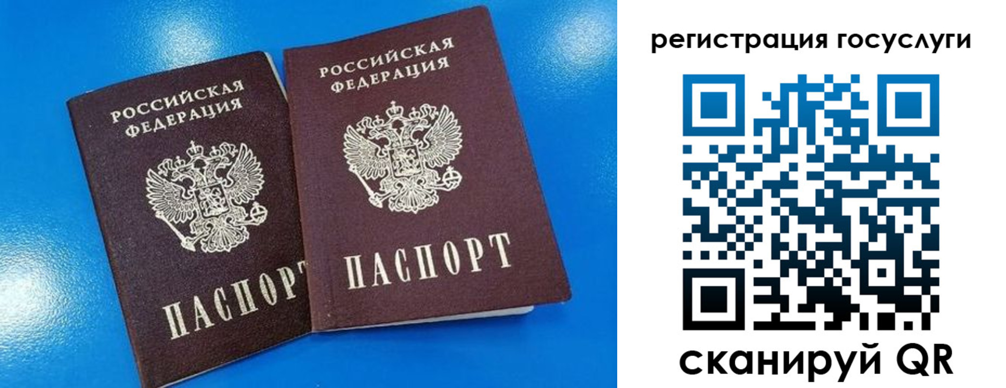 регистрация в Воронежской области